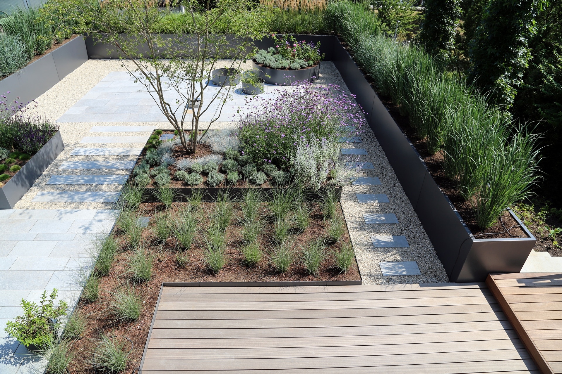 Moderner Garten mit klaren Linien und strukturierter Bepflanzung | Steingarten